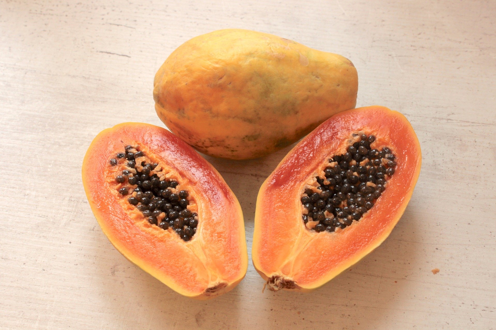 Carica papaya